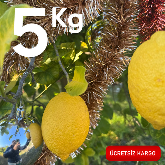 Ekolojik Limon (5 Kg.)