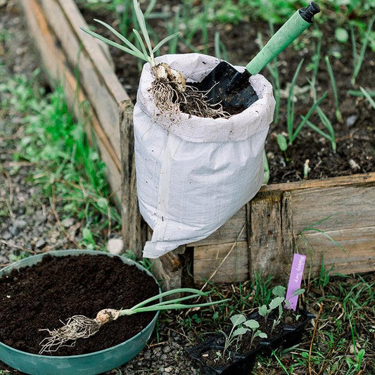 5 Kg. Katı Solucan Gübresi - Solmera Çiftliği